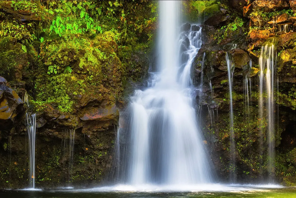 Eden By Andrew Shoemaker 1