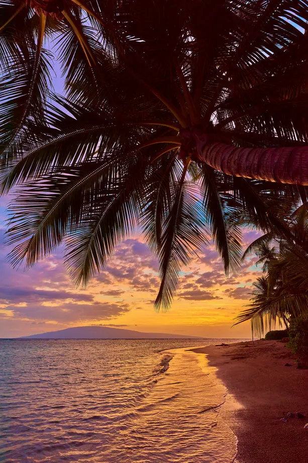 Edge Of Paradise By Andrew Shoemaker 1