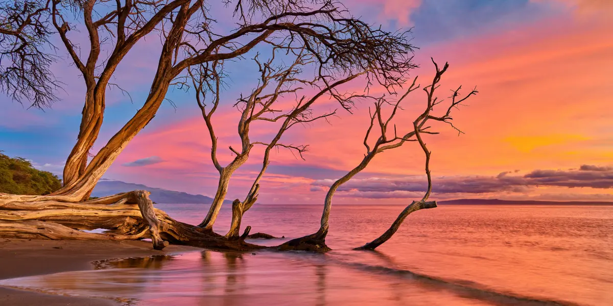 Enchanted Tide By Andrew Shoemaker 1