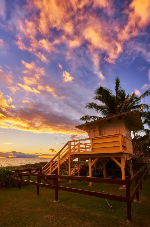 Endless Summer By Andrew Shoemaker 1