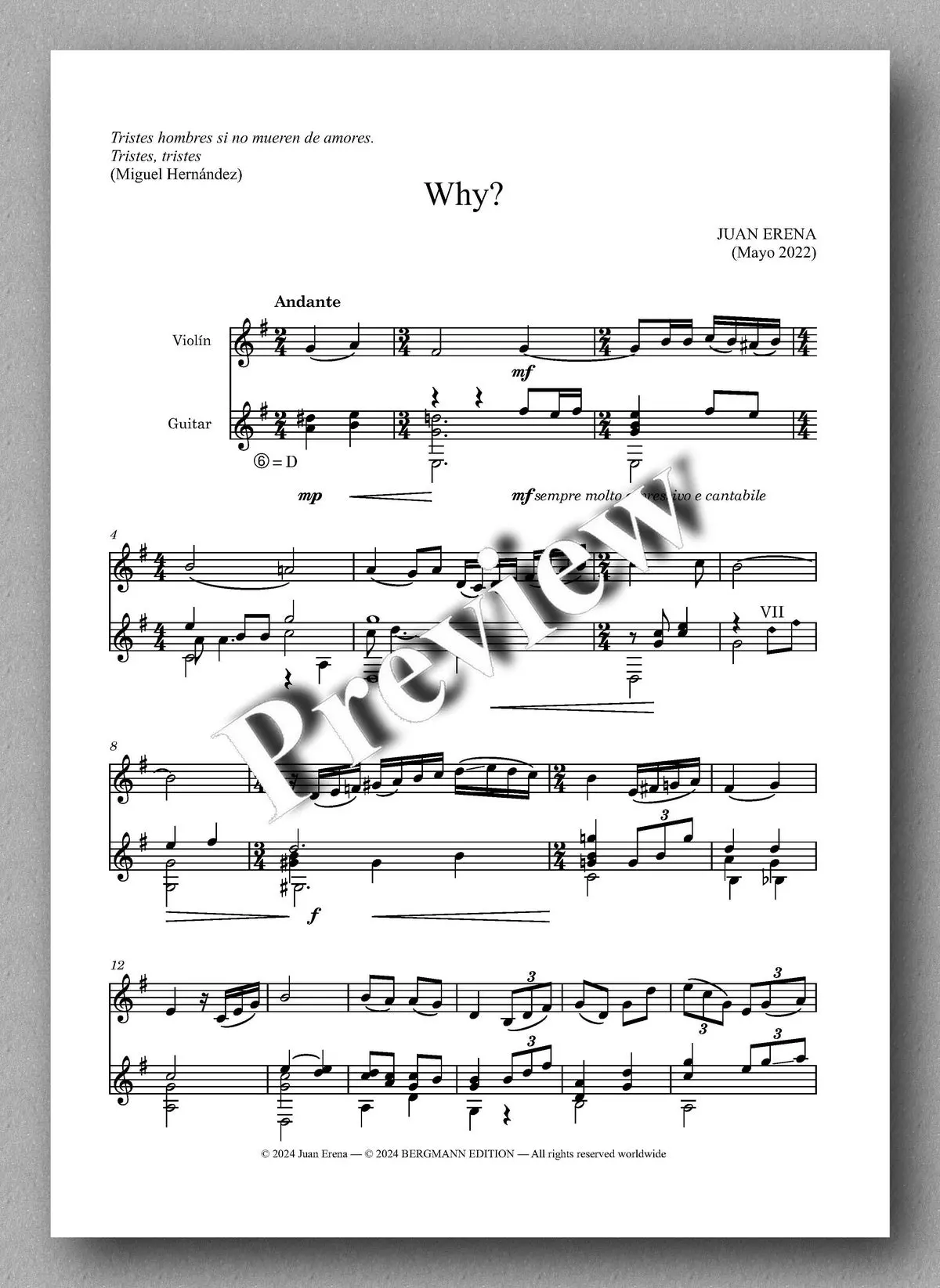 Erena, Why? (Violin And Guitar) 2