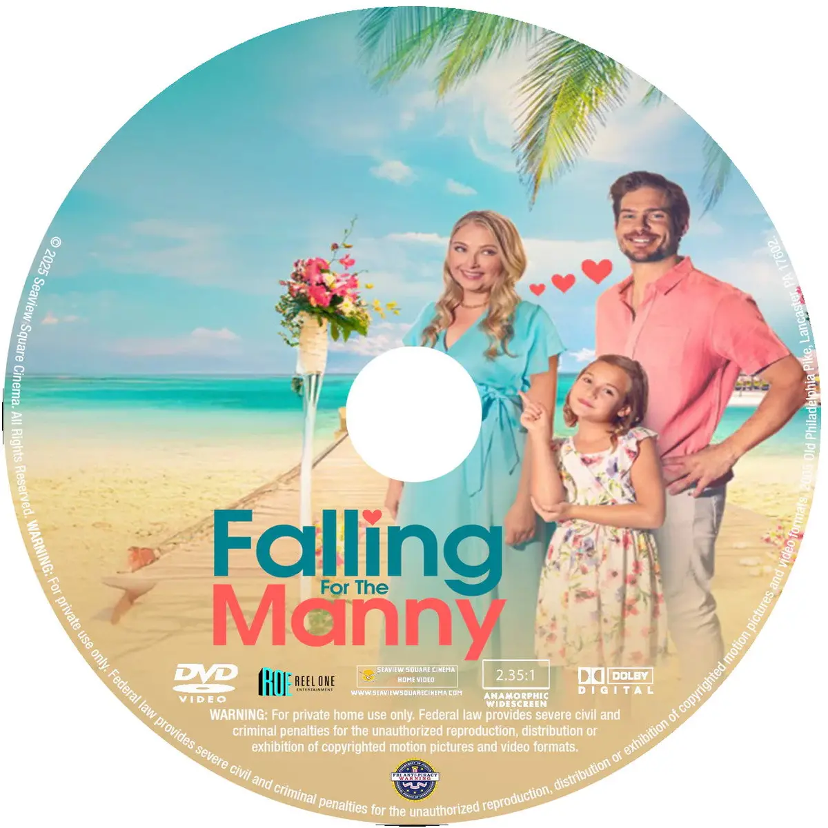 Falling For The Manny Dvd Movie 2023 1