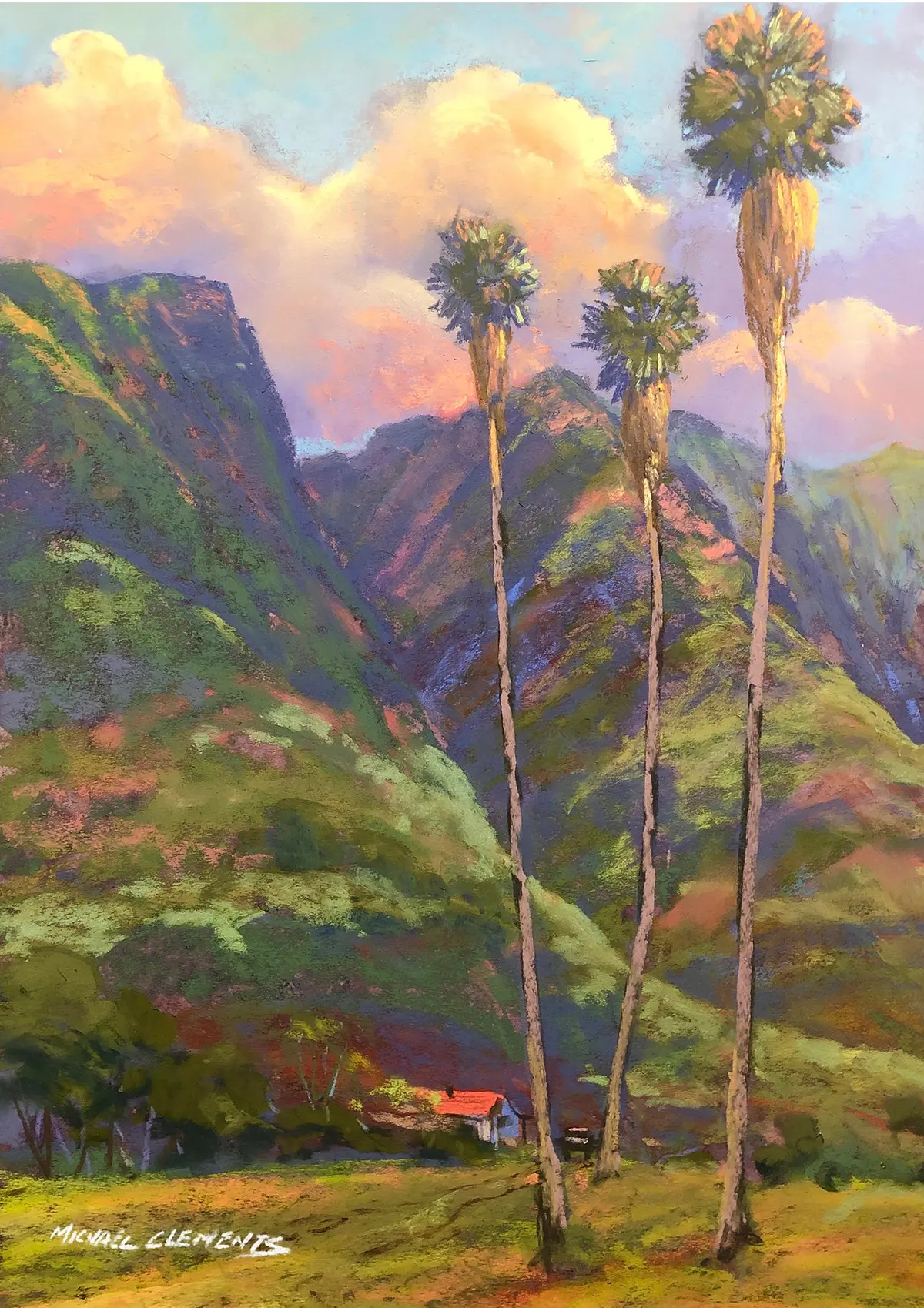 Greeting Card "Fan Palms At Dusk" By Michael Clements 1