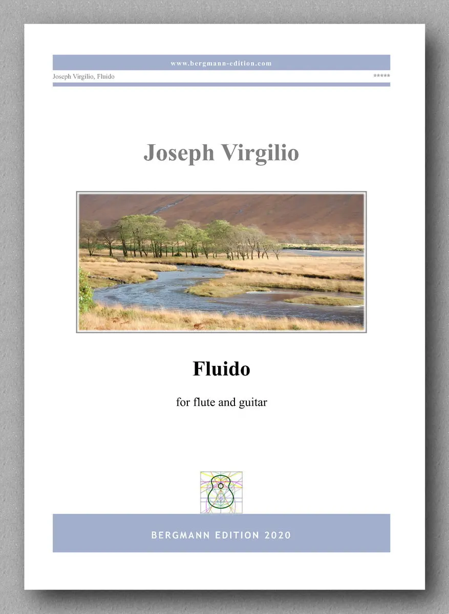 Virgilio, Fluido 1