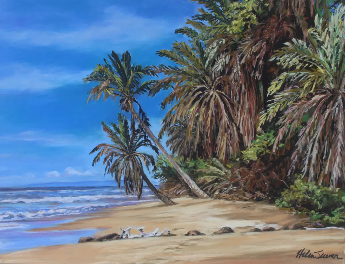 Forgotten Coast By Helen Turner 1