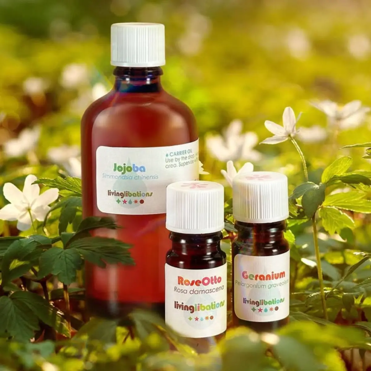 Jojoba Organic Carrier Oil - Living Libations 1