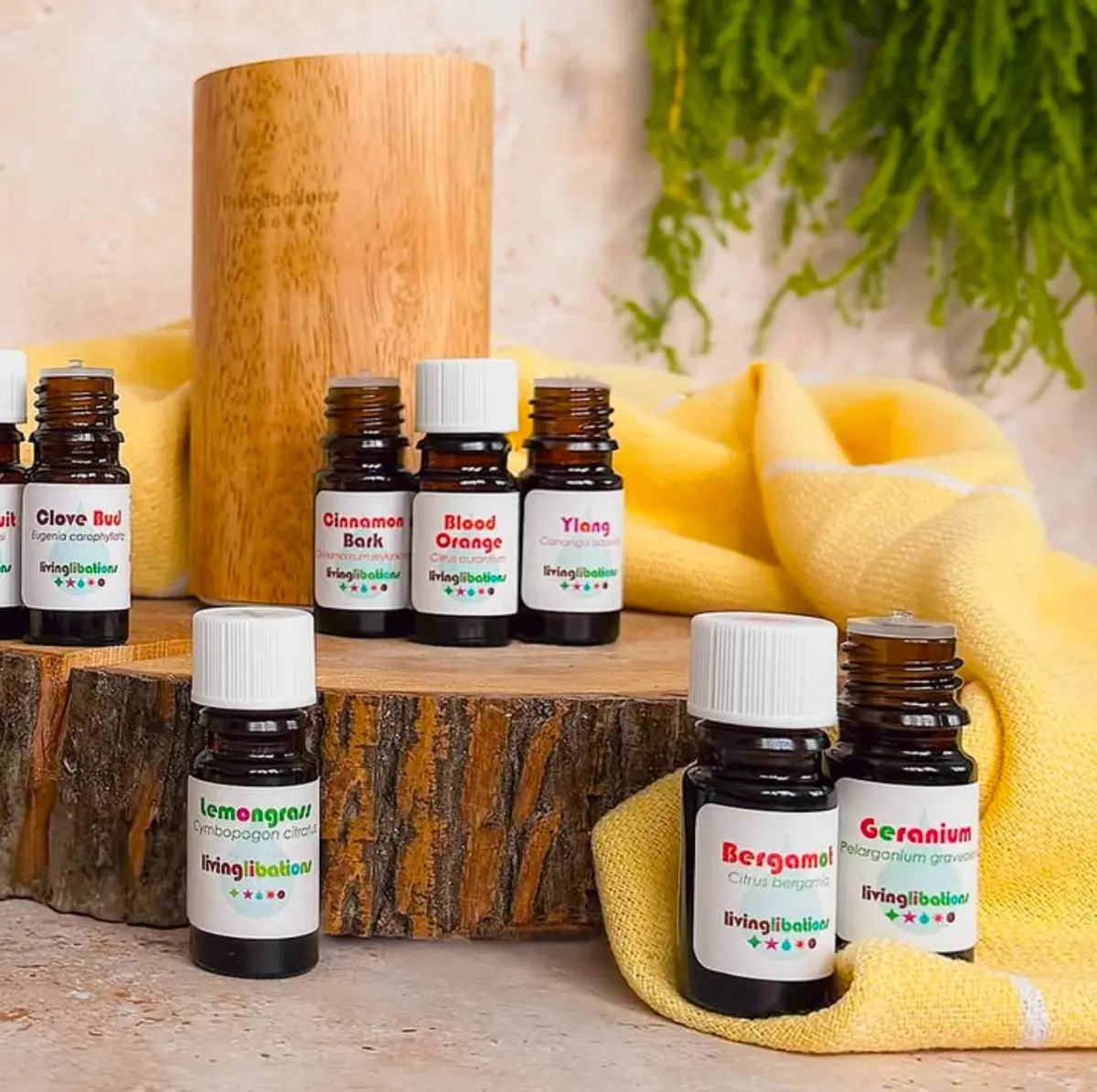 Perfectly Portable Aroma Diffuser - Living Libations 1