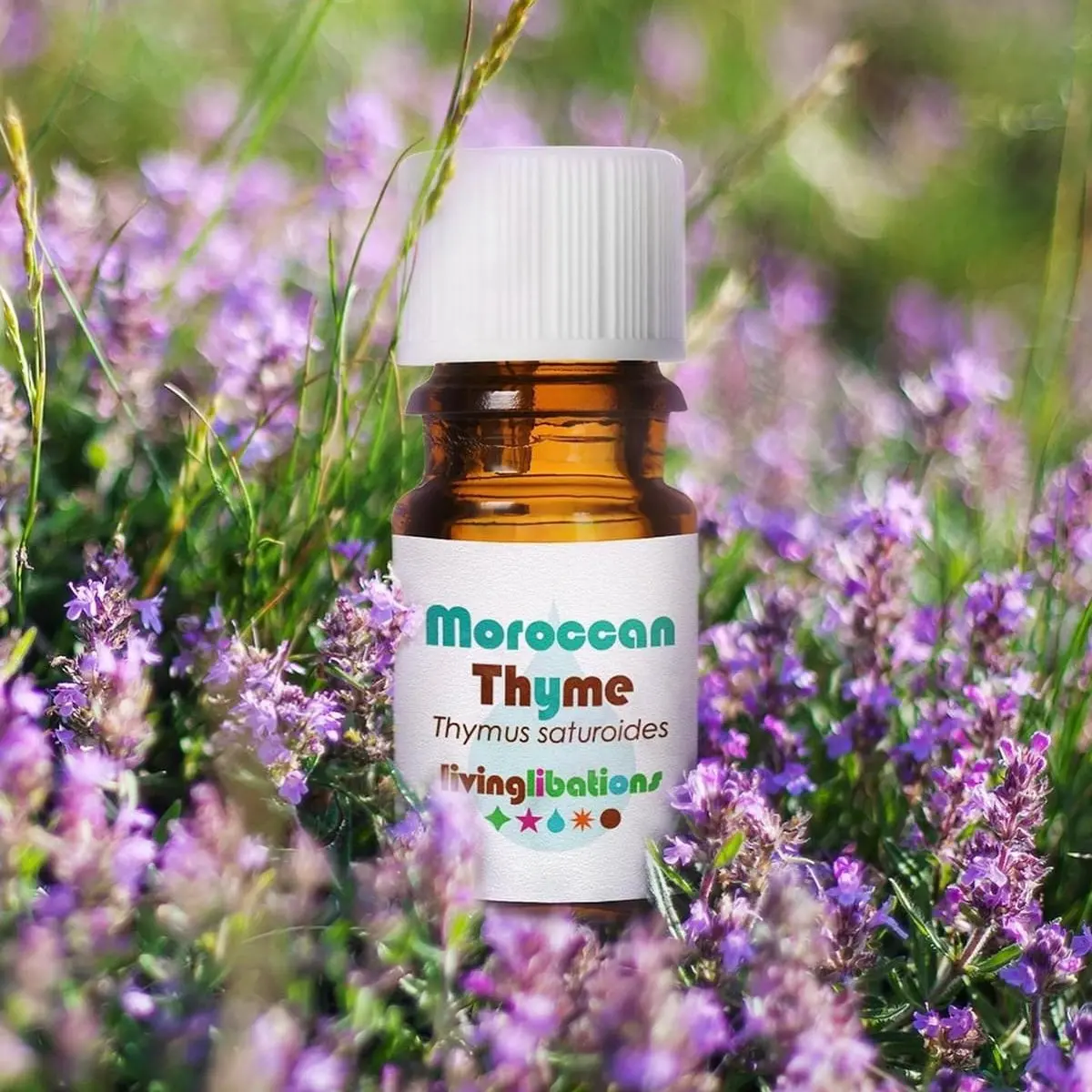 Moroccan Thyme Essential Oil - Living Libations 2