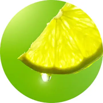 Green Lemon Essential Oil - Living Libations 1