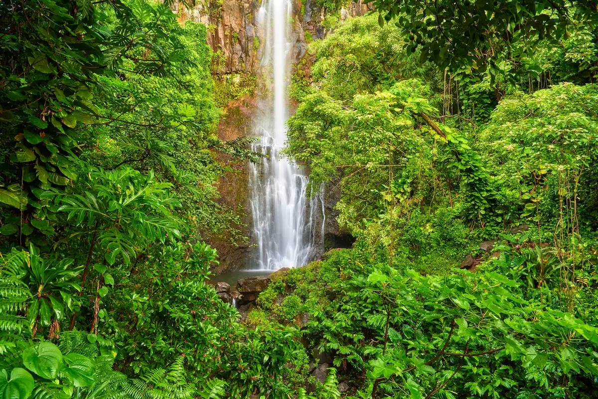 Hana Time By Andrew Shoemaker 1