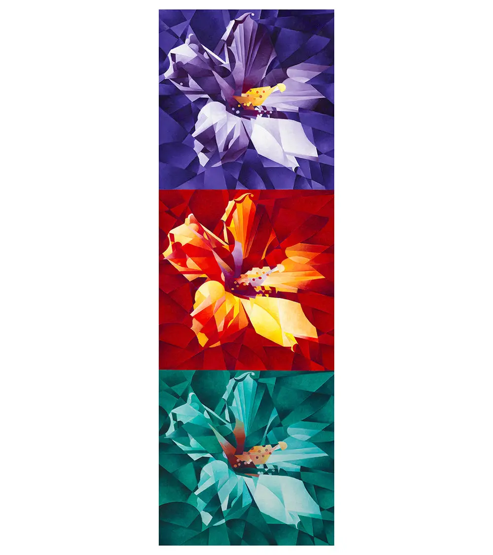 Hibiscus Trio By Tj Matousek 1
