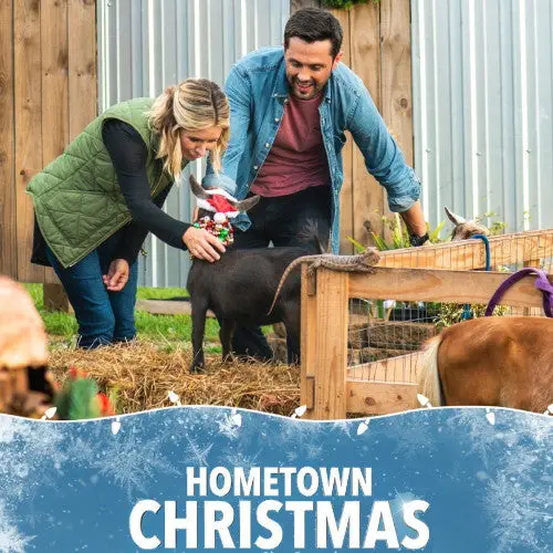 Hometown Christmas Dvd Lifetime Movie 2018 1
