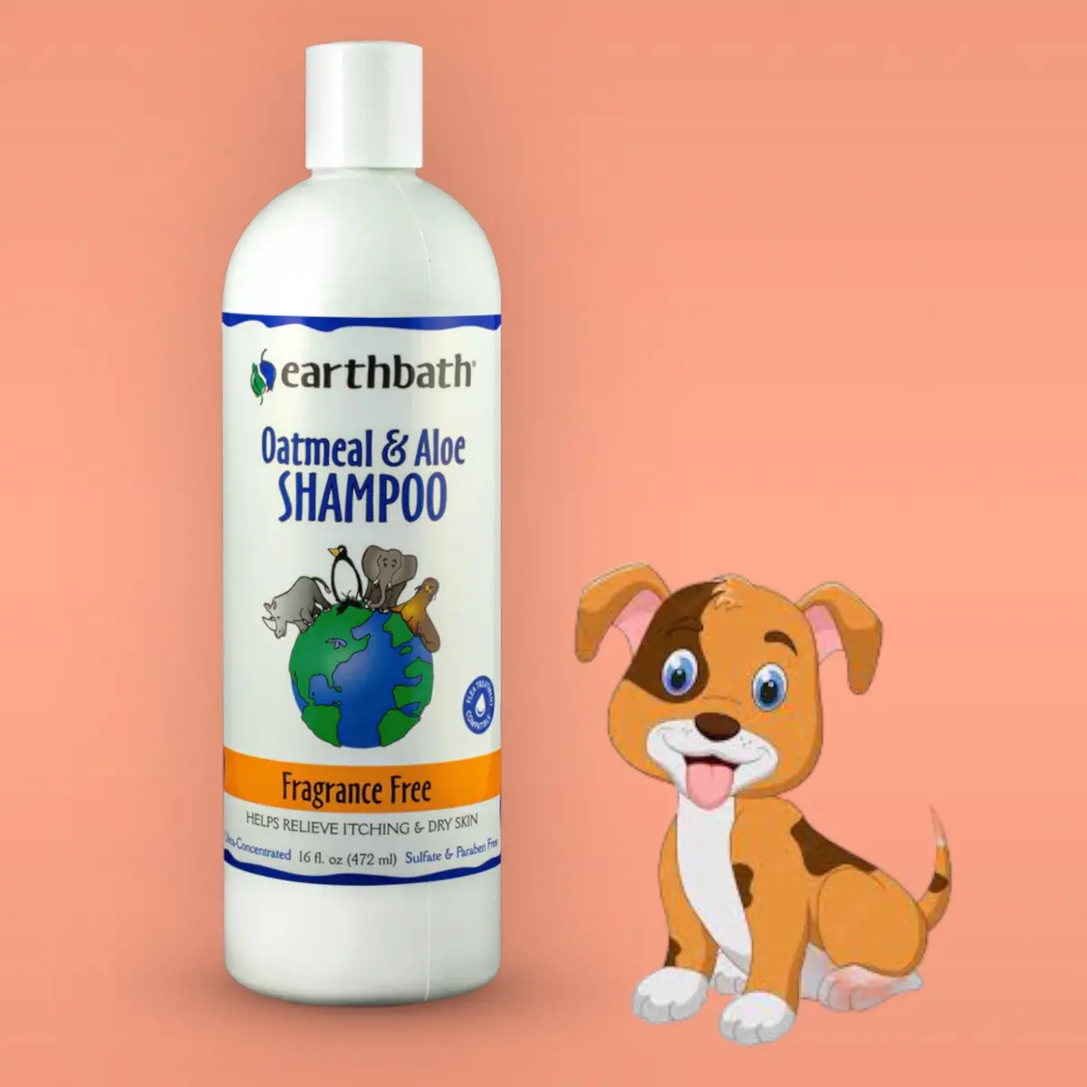 Dog Shampoo Earthbath Itch Relief Fragrance Free Oatmeal & Aloe - 472Ml 1
