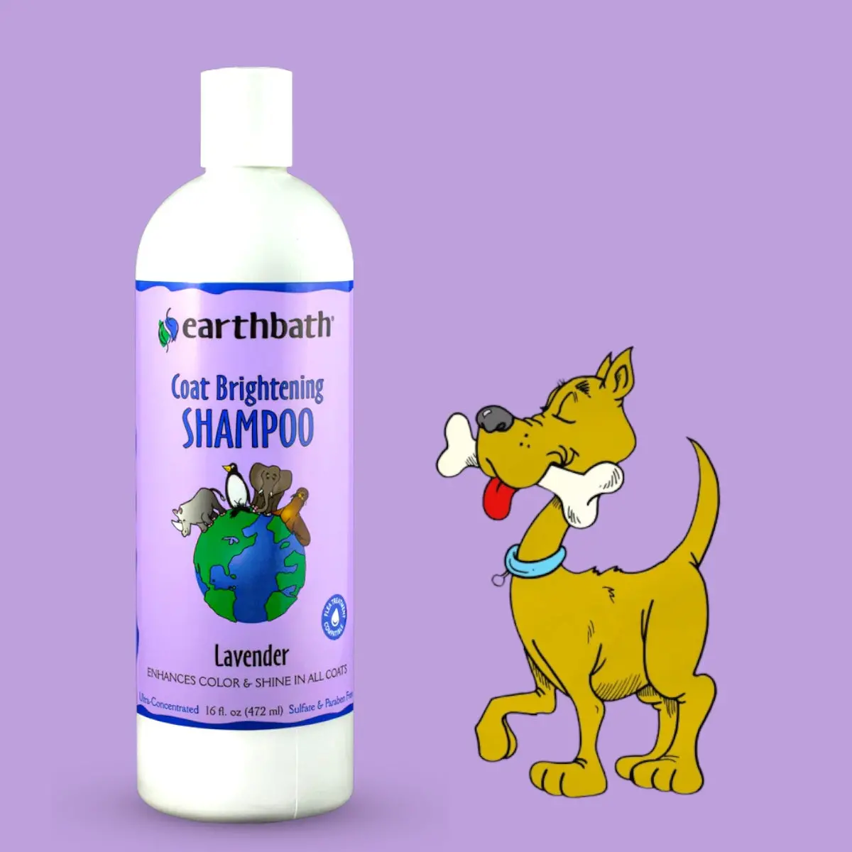 Dog Coat Brightening Shampoo Earthbath - Lavender 472Ml 1