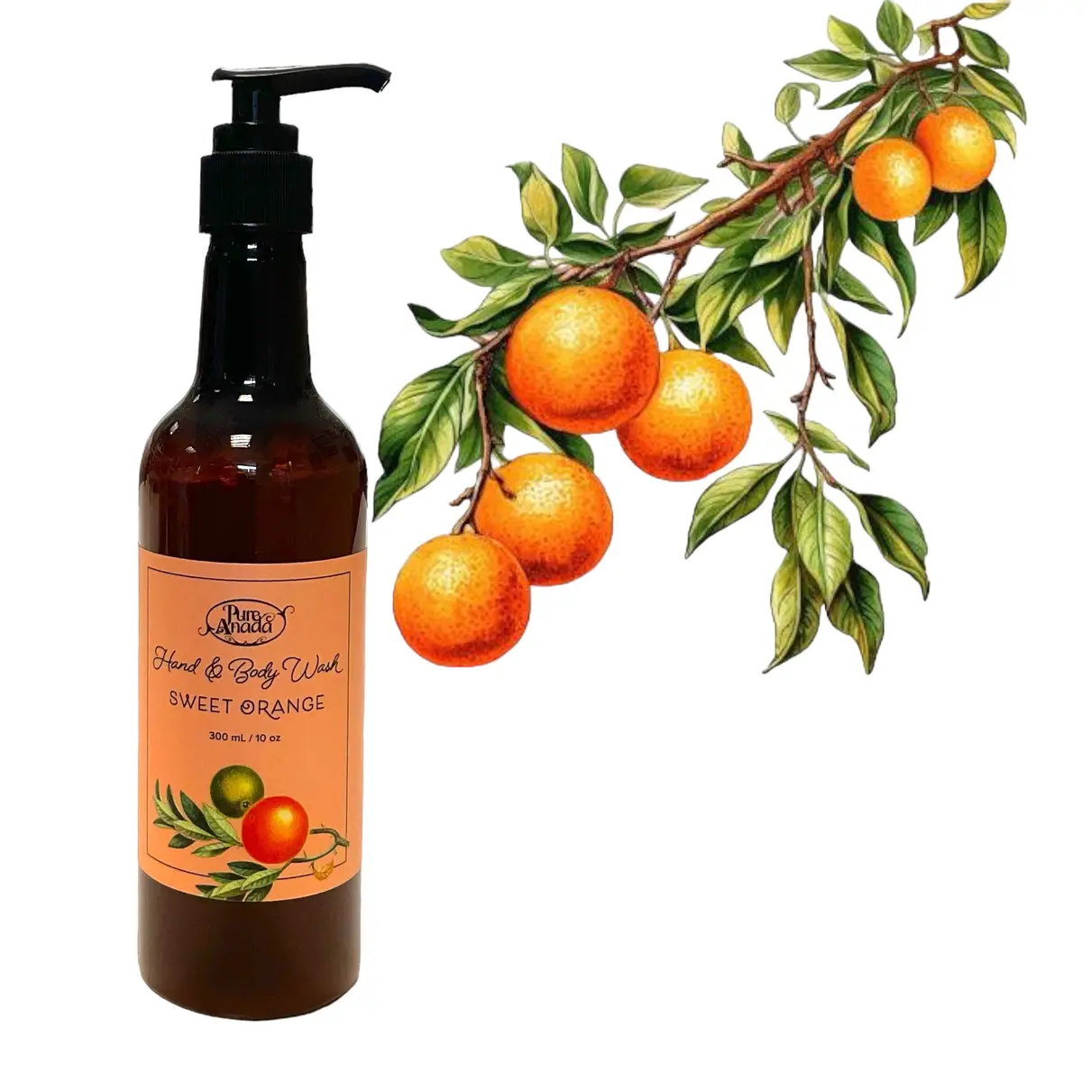 Sweet Orange Natural Hand & Body Wash 300Ml - Pure Anada 1