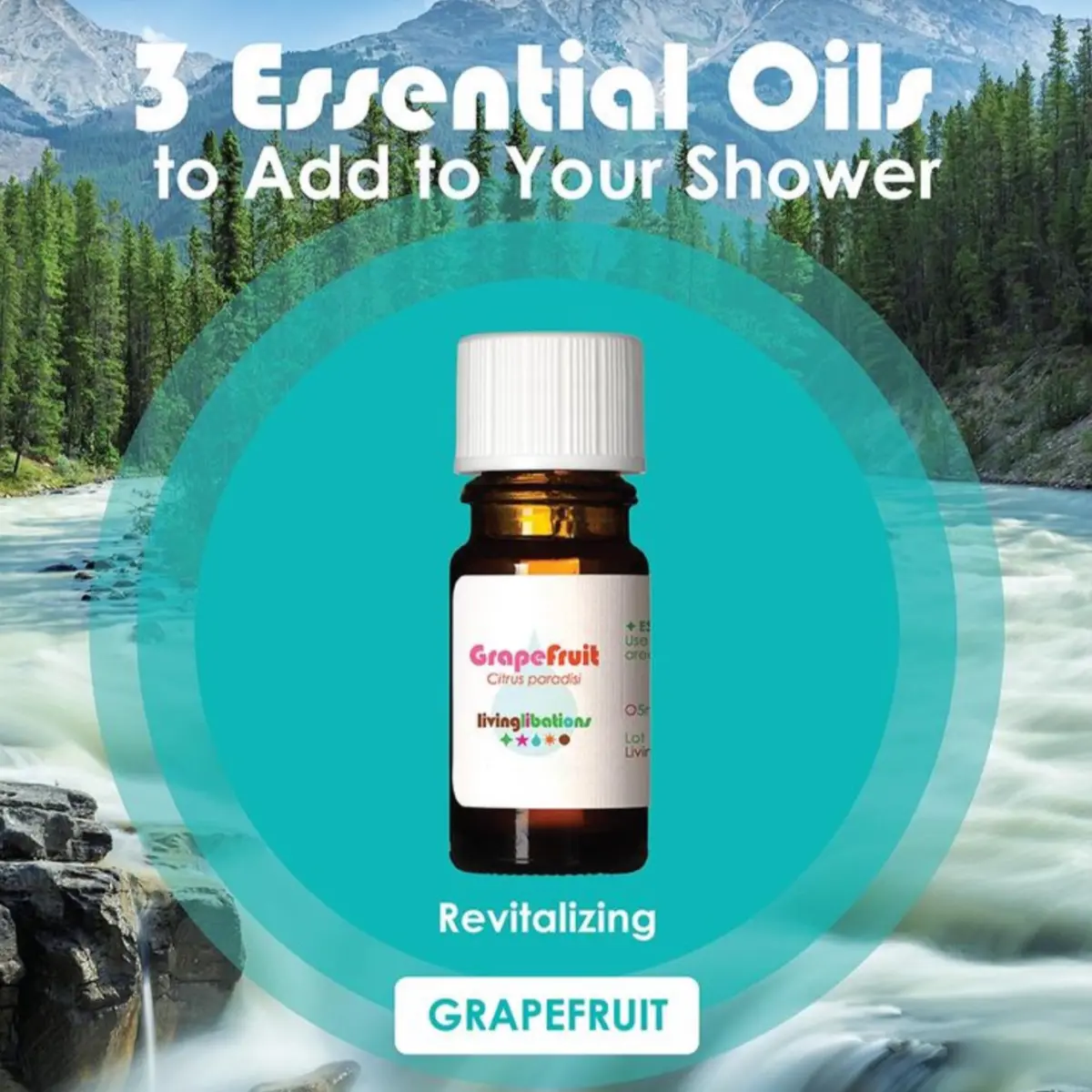 Grapefruit Essential Oil - Living Libations 2