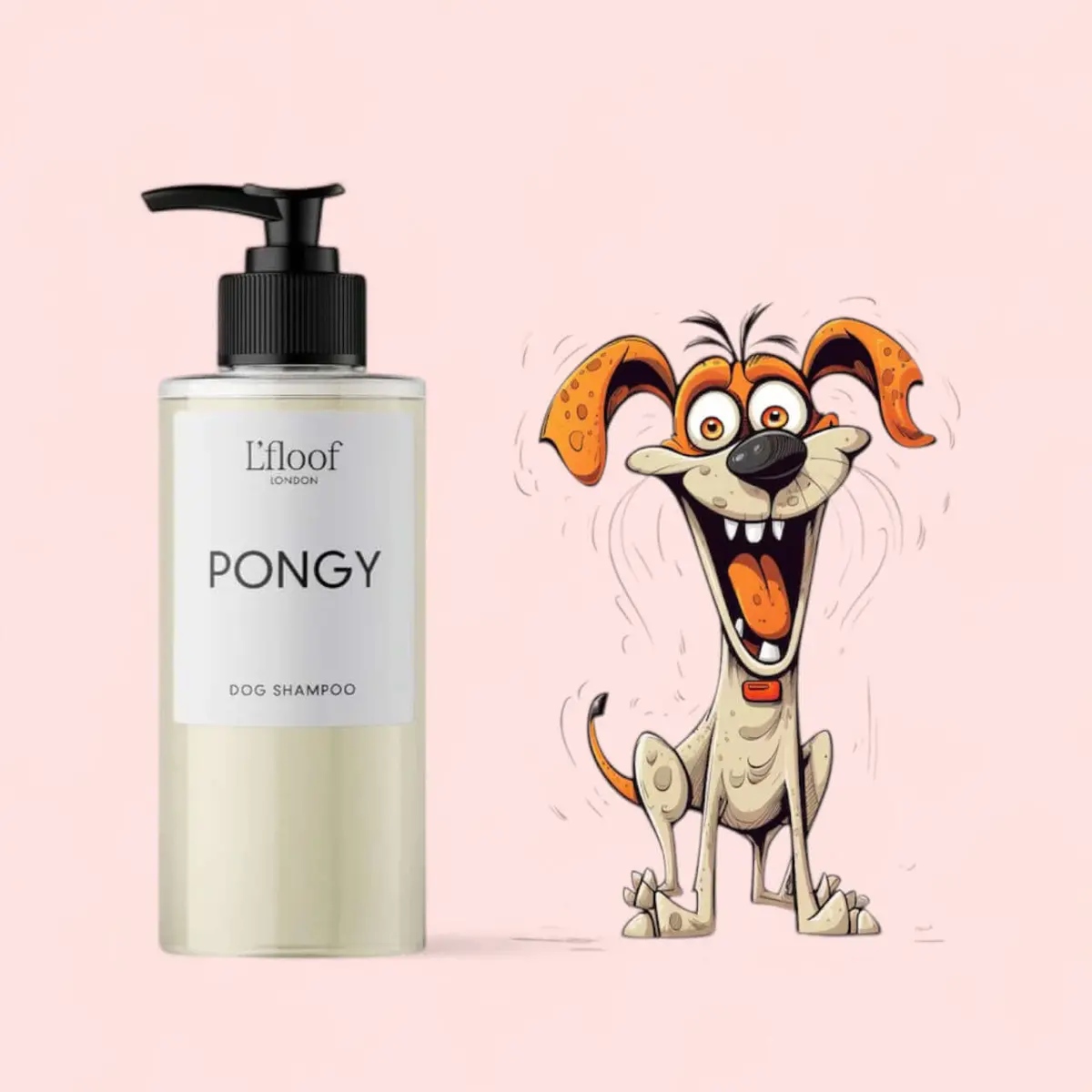 Pongy | Orange & May Change Shampoo 1