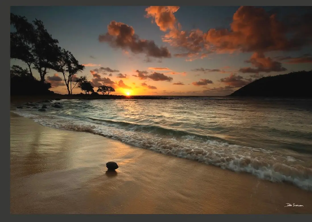 Coconut Sunrise By Don Slocum - Dons37648c 1