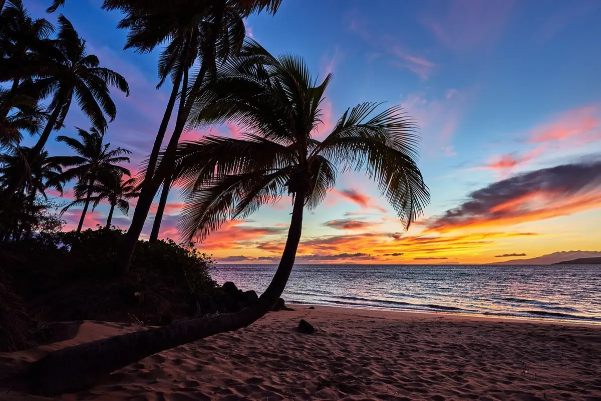 Irie Mood By Andrew Shoemaker 1