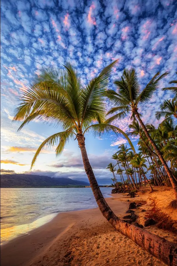Island Time By Andrew Shoemaker 1