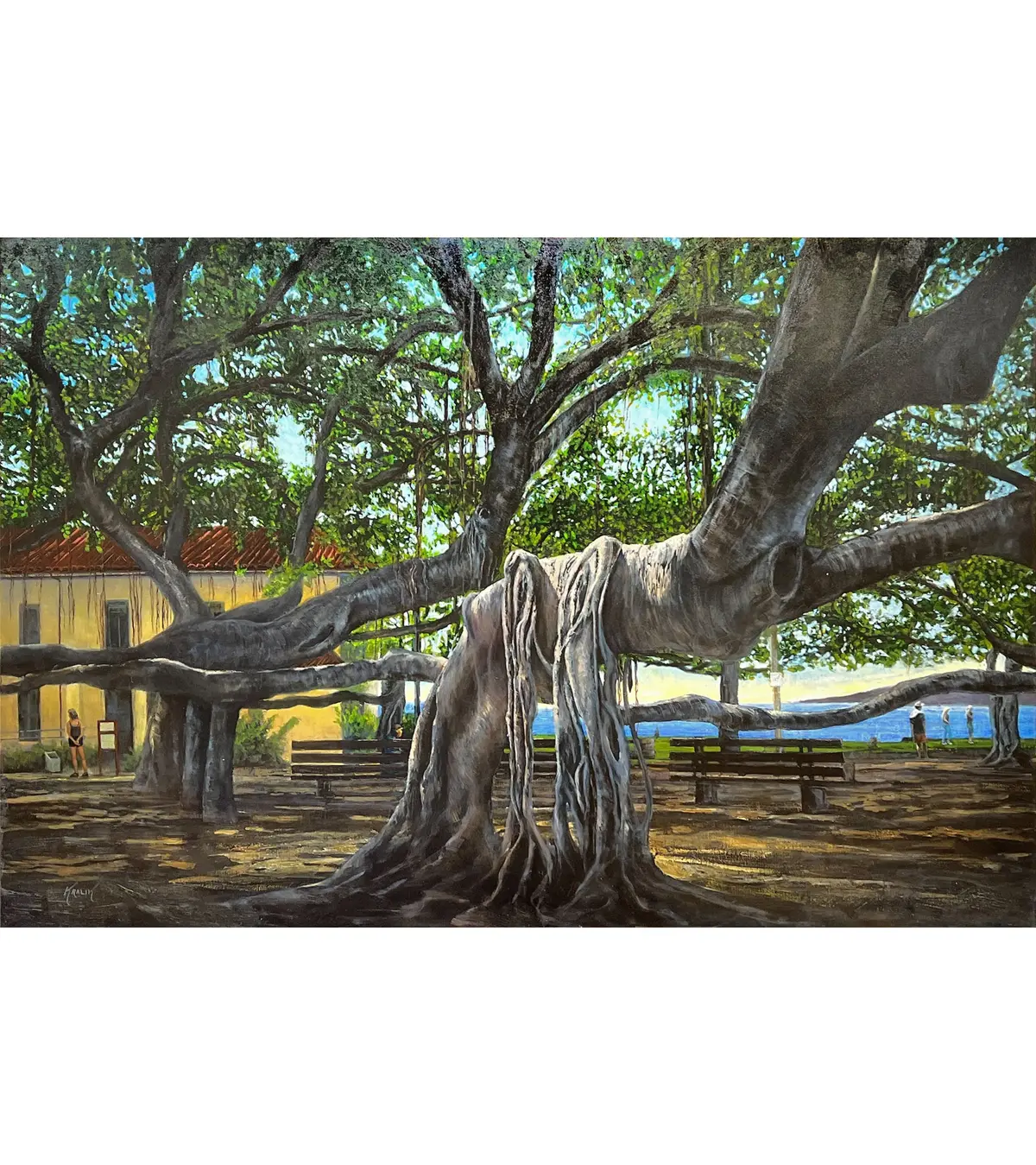 Lahaina Banyan By Brandon Kralik 1