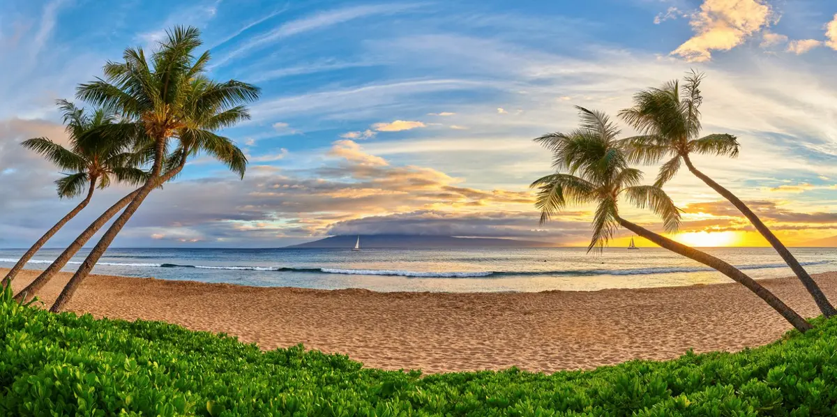 Ka’Anapali Grande By Andrew Shoemaker 1