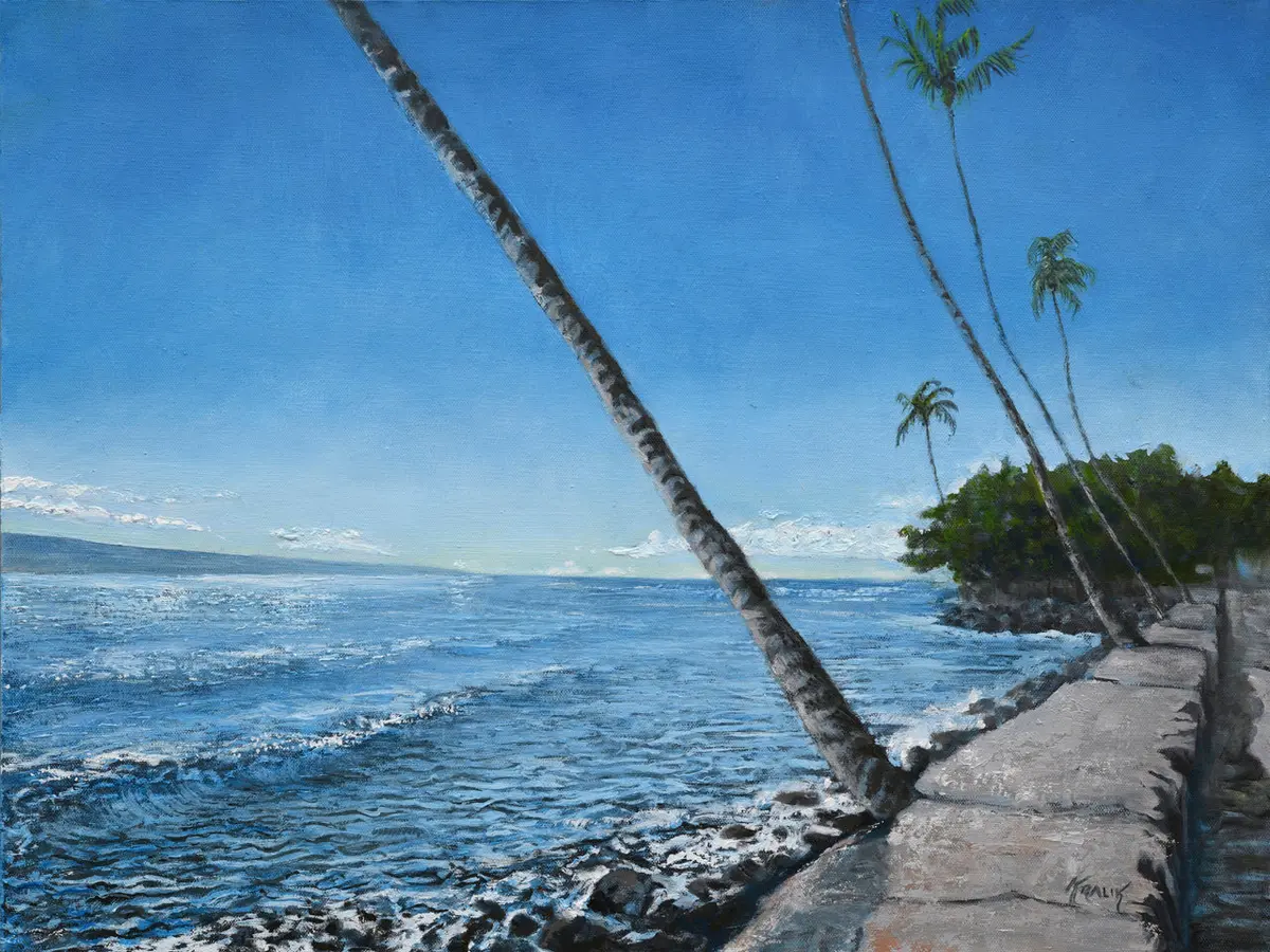 Lahaina Seawall By Brandon Kralik 1