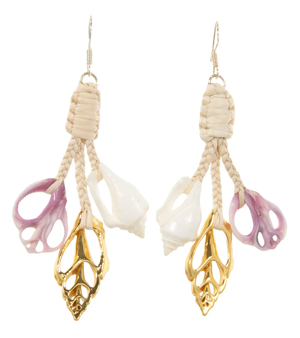 Gold And Sliced Shell Earrings 1