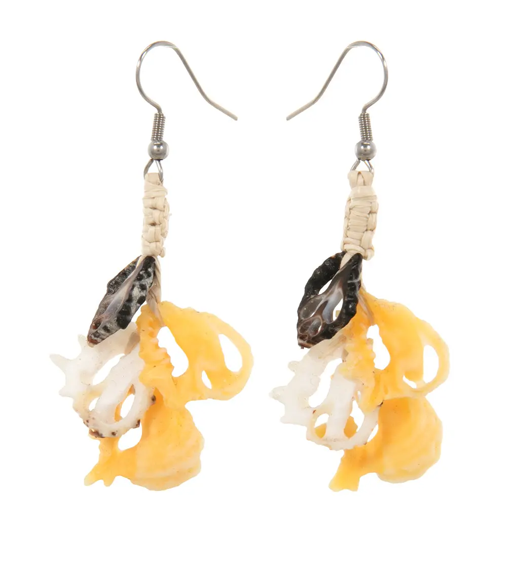 Sliced Shell Earrings 1