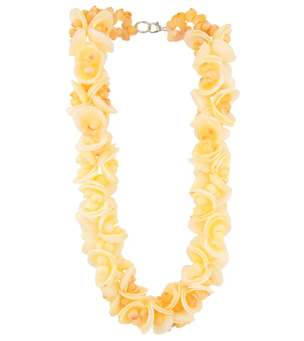 Clam Shell And Pupu Necklace - 44531C 1