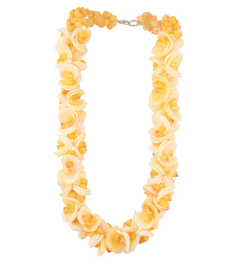 Clam Shell And Pupu Necklace - 44531C 1