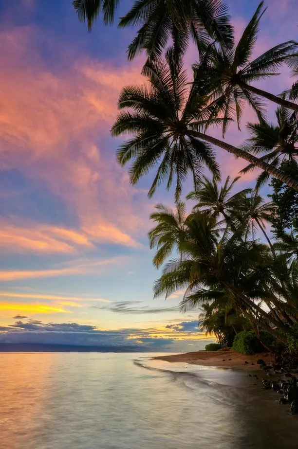 Lahaina Bliss By Andrew Shoemaker 1