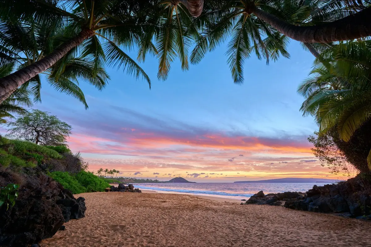 Lookout Cove By Andrew Shoemaker 1