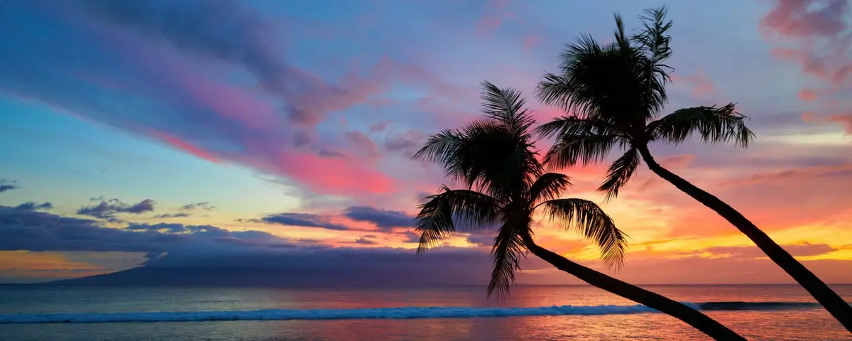 Lover's Paradise By Andrew Shoemaker 1