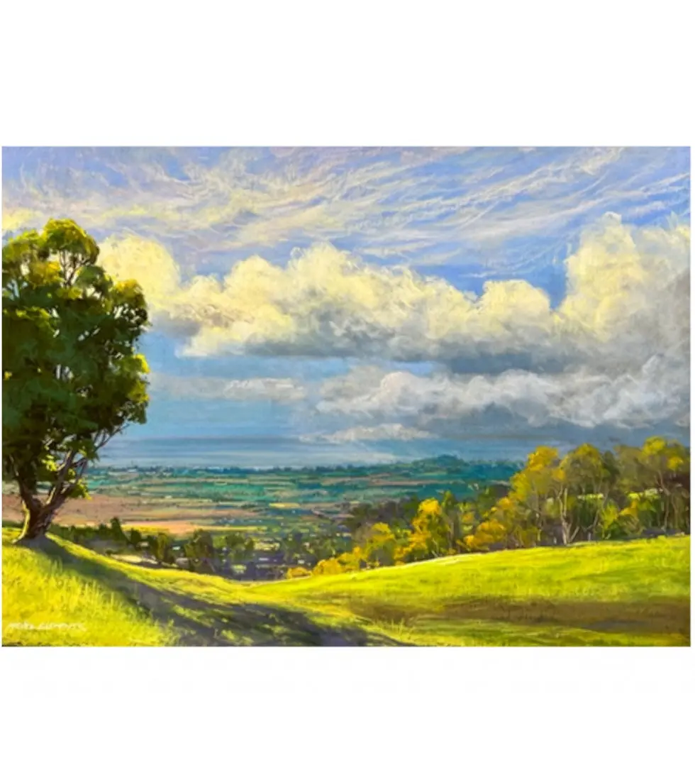 Original Pastel Painting " Pasture View Of North Shore" By Michael Clements 27X20 1