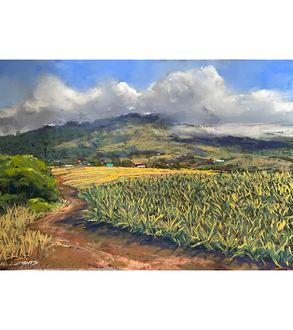 Original Pastel Painting "Maui Gold Pineapple Fields" By Michael Clements 18X12 1