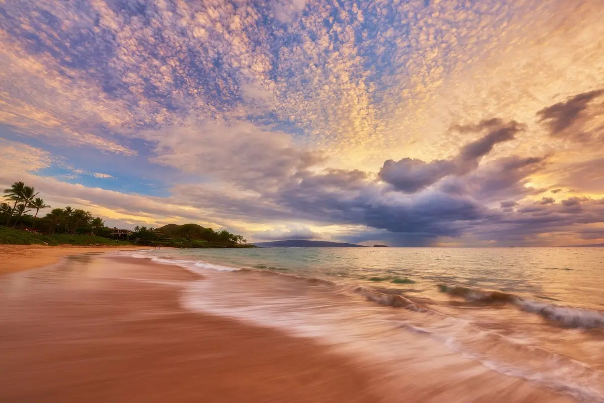 Maluaka Magic By Andrew Shoemaker 1