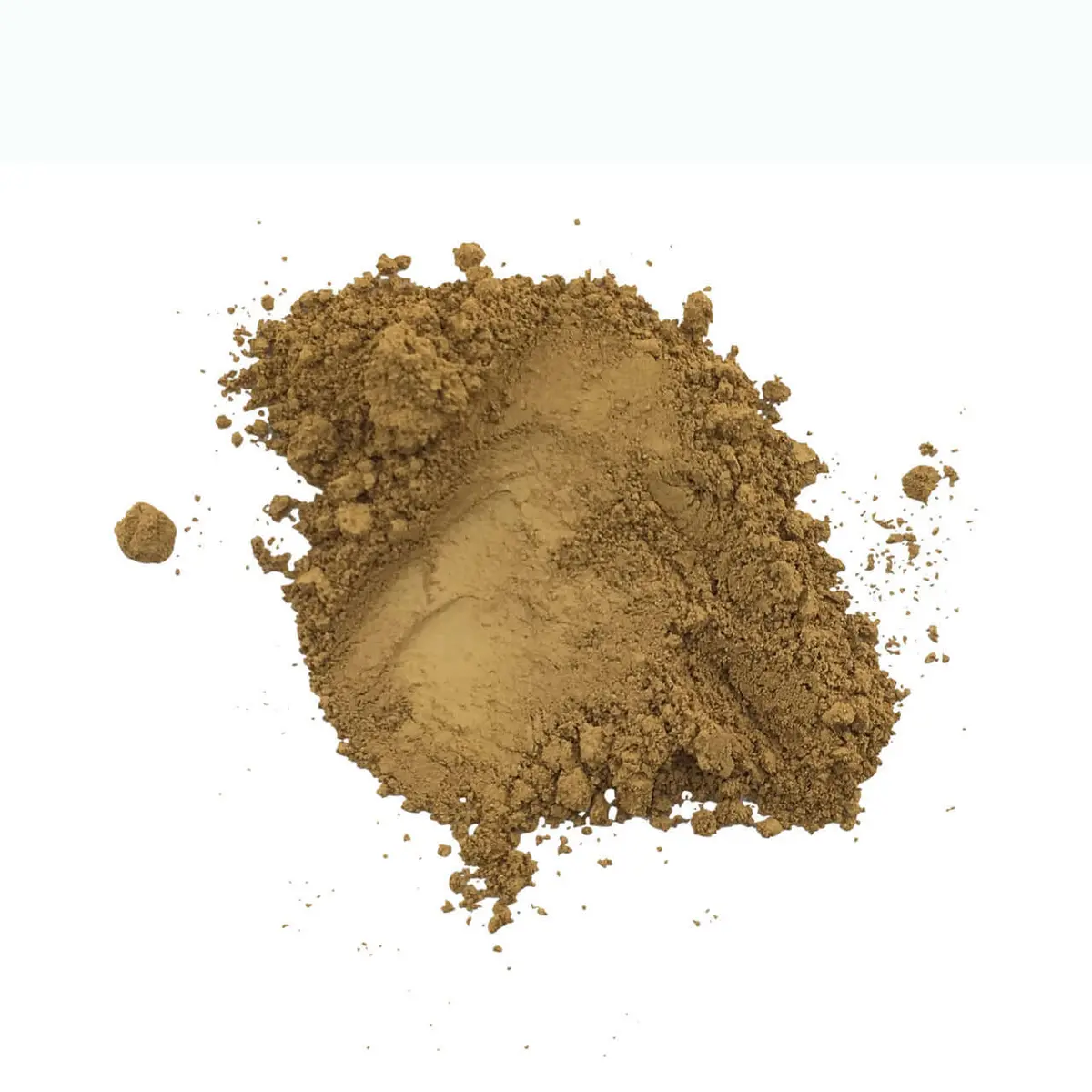 Natural Mineral Foundation 10G - Pure Anada 21