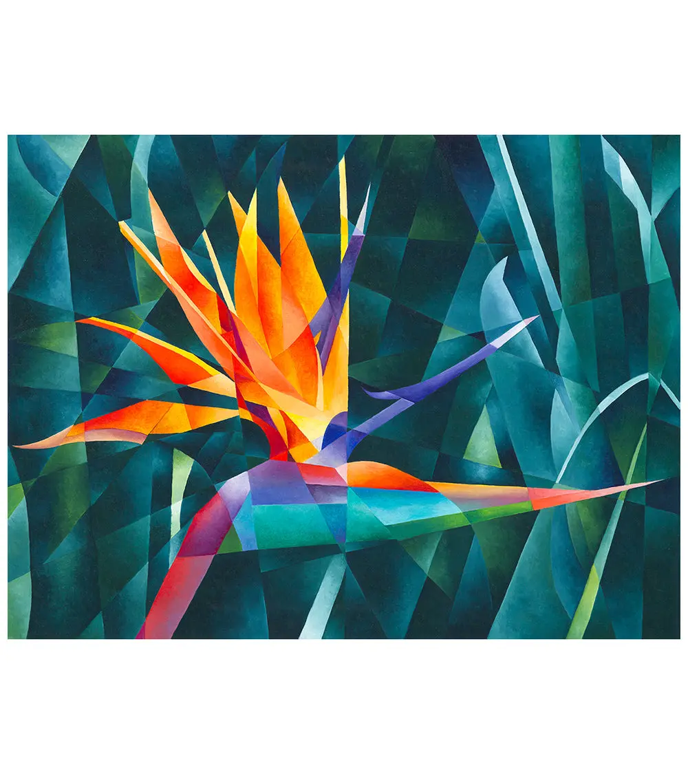 Bird Of Paradise By Tj Matousek 1