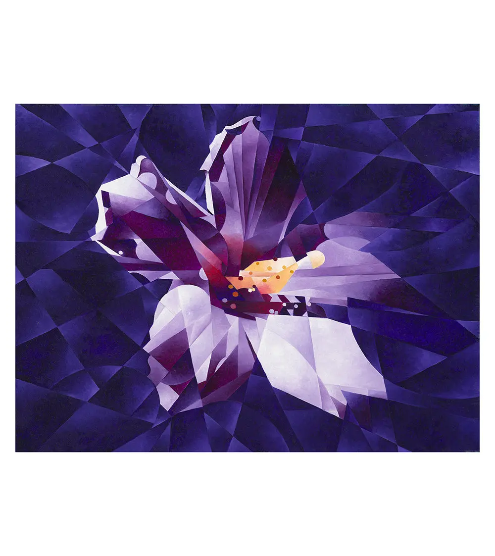Purple Hibiscus By Tj Matousek 1