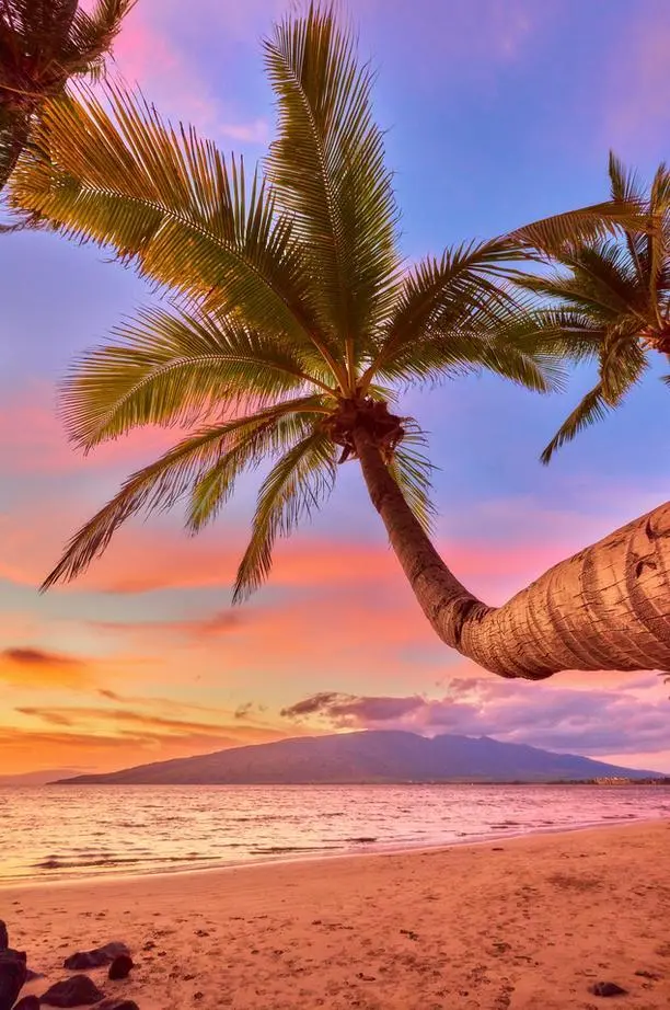 Maui Namaste By Andrew Shoemaker 1