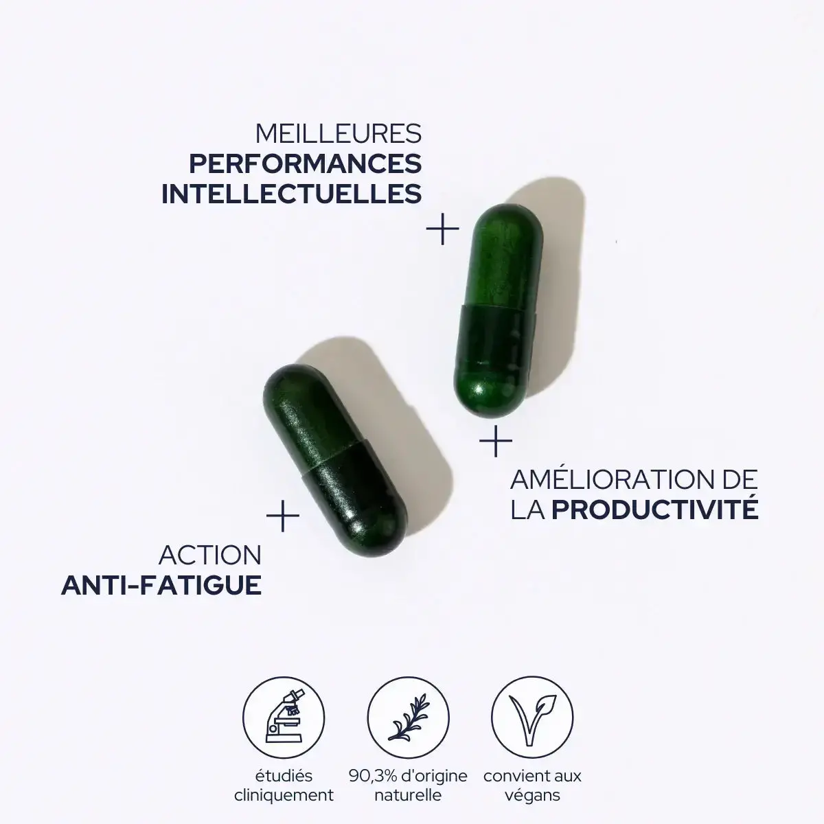 Memory & Concentration Cure - 1 Month Cure By Epycure 2
