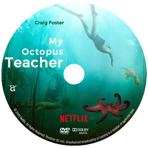 My Octopus Teacher Dvd Documentary 2020 1