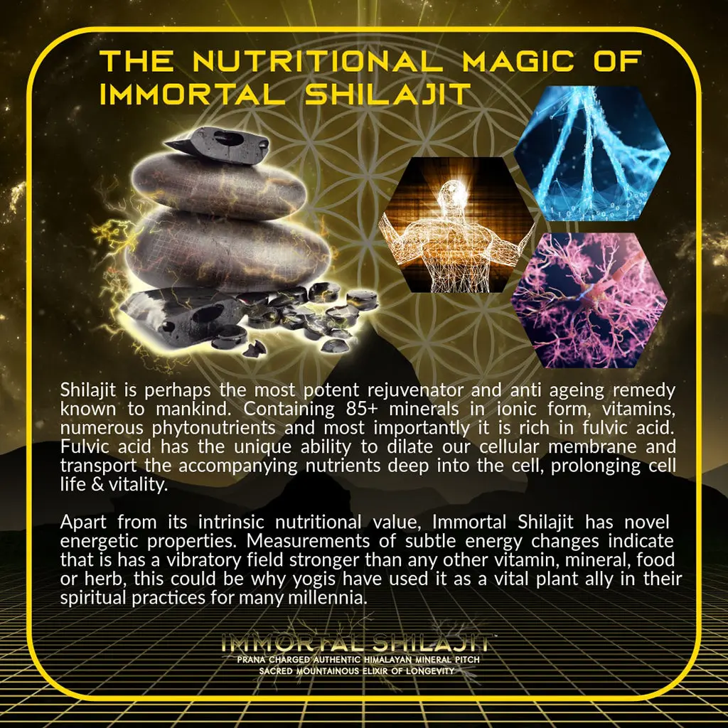 Immortal Shilajit 2.0 Himalayan Mineral Resin 2