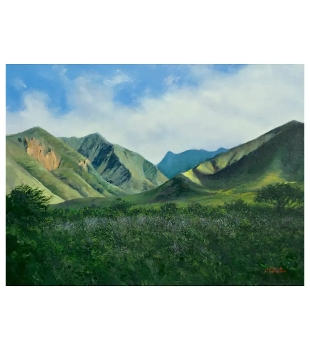 Olowalu By Christian Snedeker 1