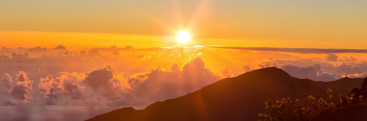 On The Rise By Andrew Shoemaker 1