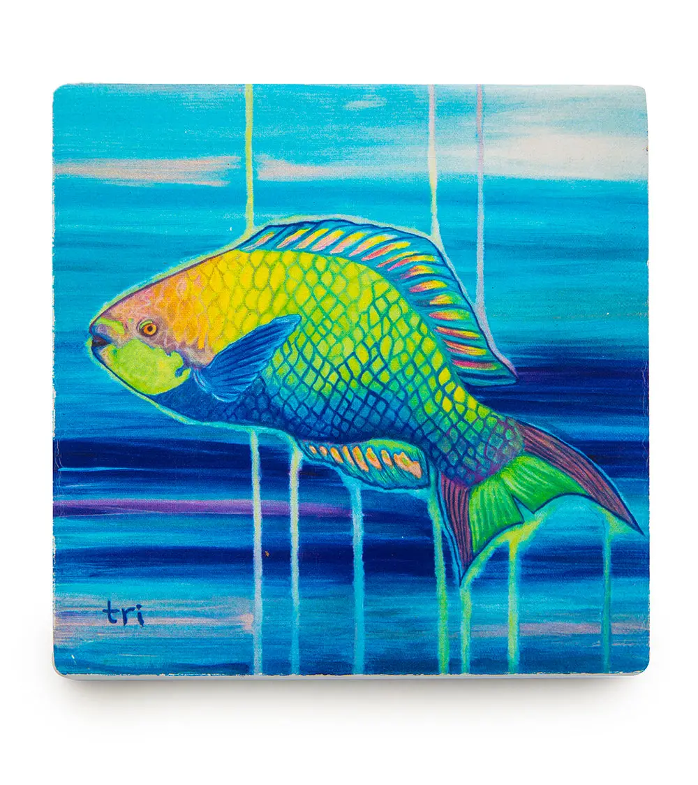 Sandstone Coaster "Parrot" By Trevor Isabel 1