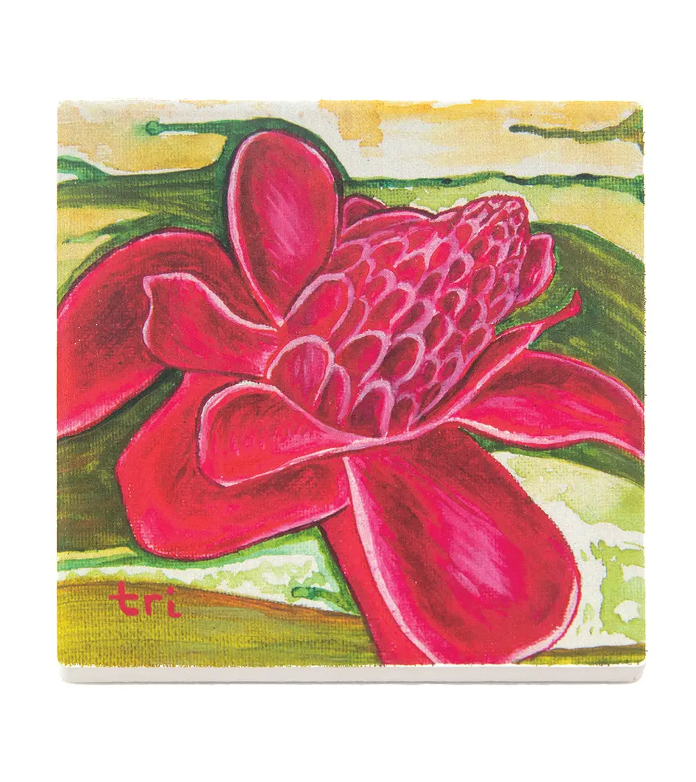 Sandstone Coaster "Ginger" By Trevor Isabel 1