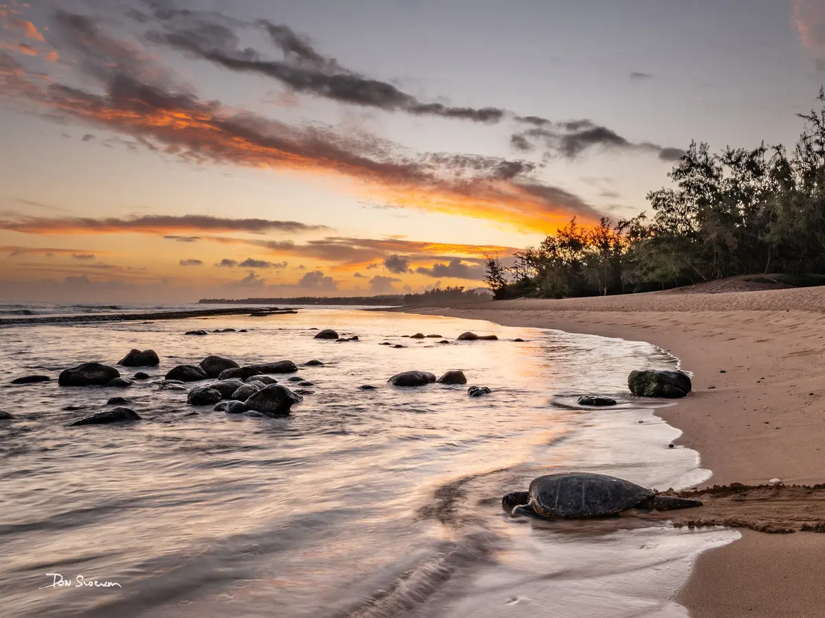 Paddling Out By Don Slocum 1