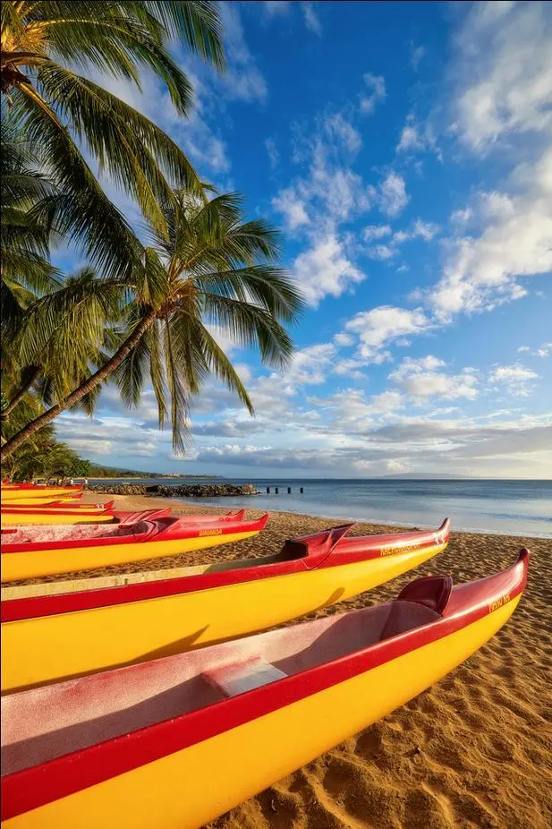 Paddle Out By Andrew Shoemaker 1